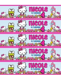 hello kitty water 1: Hello kitty bundle product 3_102