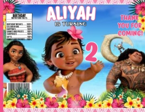 Moana Baby Chip Bag 222: Moana Baby chip bag 102