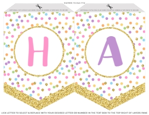 017 - Party Like a Pineapple Birthday Banner design preview