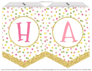 072 - Party Like a Pineapple Pink Birthday Banner design preview