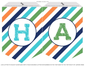 047 - Dino-RAWR Dinosaur Birthday Banner design preview