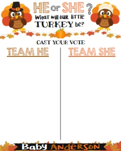 Cast your Vote - Turkey White 16x20: Gender Reveal - Little Turkey Pilgrims White
