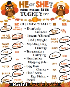 Old Wives Tale - Turkey White 16x20: Gender Reveal - Little Turkey Pilgrims White
