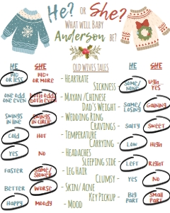 Old Wives Tale - Christmas Sweaters White 16x20: Gender Reveal Signs - Old Wives Cast Vote Christmas Sweaters Blue Red