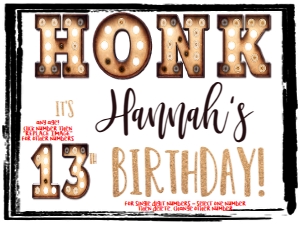 Sign - Honk its my Birthday Marquee White 18x24: Yard Sign - Marquee Honk Birthday