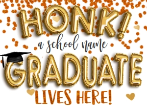 Sign - Honk a School Graduate Lives here Gold Balloon 18x24 ORANGE: Sign - Honk Graduate Gold Balloons