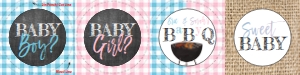 Cupcake Topper - BabyQ Gingham - 2in round - Blue / Pink: Kit - BabyQ Blue Pink Gingham Burlap