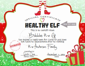 Elf - Quarantined Healthy Elfy Tested Negative Christmas Green Glitter 8.5x11: Elf Quarantine Kit letter first - Green Glitter