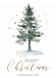 Merry Christmas C011 - Xmas Cards - No fold design preview