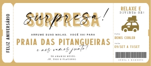 Voucher Viagem Surpresa 20x9cm - #192 BRTKT: Voucher Viagem Surpresa 20x9cm - #192 BRTKT