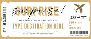 Surprise Trip Voucher Airplane Trip - #187 design preview