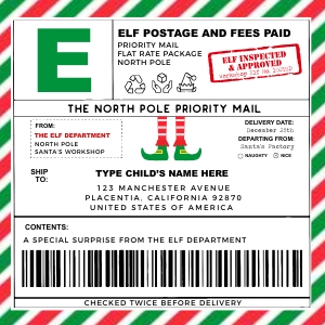 Elf Shipping Labels 3x3" - Compatible w/ Avery 94101 labels - TG104: Elf Shipping Labels 3x3" - TG104