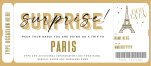 Paris Trip Voucher - #164 GT: Paris Trip Voucher - #164 GT