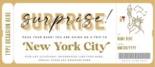 Surprise New York Trip Voucher - #171 GT: Surprise New York Trip Voucher - #171 GT
