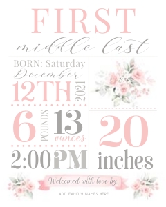Birth Stats Sign | Pink Floral design preview