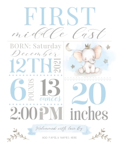 Birth Stats Sign | Blue Elephant 16X20: Birth Stats Sign | Boy
