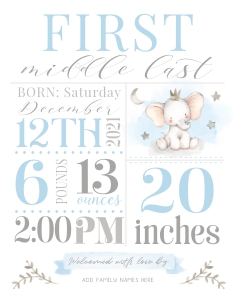 Birth Stats Sign | Blue Elephant 11x14: Birth Stats Sign | Boy