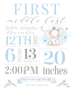 Birth Stats Sign | Blue Stats 8x10: Birth Stats Sign | Boy