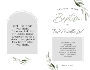 Baptism Program Olive Branch | Full Sheet: Baptism Program Olive Branch | Full Sheet