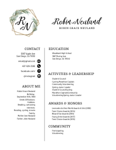 050SOR 01 eucalyptus geometric A Resume design preview