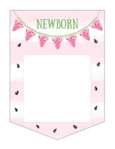 050HPA 15 E Melon banner year design preview