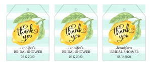 029HPA 08 tag lemon mint 01 design preview