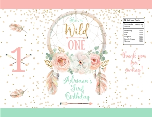 122HPA 17 Chips Bag DC Wild One design preview