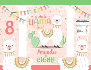 071HPA 30 B Chip bag llama design preview