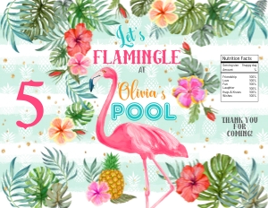 044HPA 17 D Flamingle chips POOL mint stripes design preview