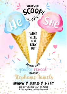 163HPA 01 IceCream Gender Reveal shower 5x7: 163HPA 01 IceCream Gender Reveal shower 5x7