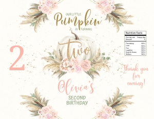 171HPA 30 E pampas Pumpkin Chips bag TWO: 171HPA 30 E pampas Pumpkin Chips bag TWO