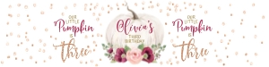 085hpa 10 C water bottle label burgundy pumpkin THREE: 085hpa 48 BUNDLE 30A 31A 10C 25C rice burgundy pumpkin THREE