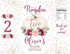 085hpa 47 BUNDLE 30C 31B 10B 25B rice burgundy pumpkin TWO design preview