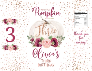 085hpa 48 BUNDLE 30A 31A 10C 25C rice burgundy pumpkin THREE: 085hpa 48 BUNDLE 30A 31A 10C 25C rice burgundy pumpkin THREE