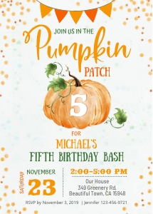 079hpa 06 Pumpkin orange patch BDay any age design preview