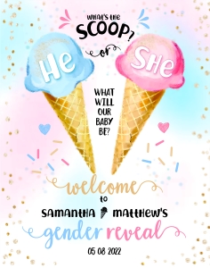 163hpa 14 IceCream gender Reveal 11x14: 163hpa 14 IceCreamgender Reveal 11x14