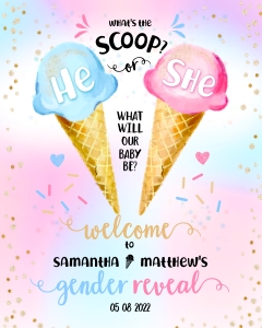 163hpa 16 iceCream gender reveal 16x20: 163hpa 16 iceCream gender reveal 16x20