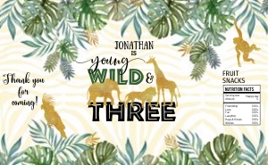 040hpa 39 C Fruit snacks THREE WILD design preview
