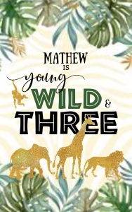 040hpa 65 C paper gift bag label THREE WILD design preview
