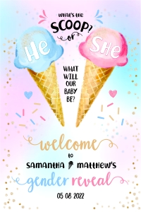163hpa 24 icecream gender reveal 24x36 design preview