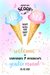 163hpa 24 icecream gender reveal 24x36: 163hpa 24 icecream gender reveal 24x36