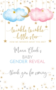 177hpa 15 A twinkle gift bag label 5x8 white design preview