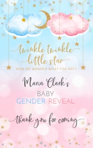 177hpa 15 C twinkle gift bag label 5x8 pink blue design preview