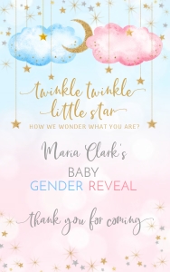 177hpa 15 B twinkle gift bag label 5x8 pink blue design preview