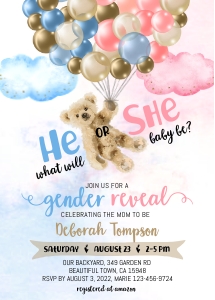 195hpa 04 He or She reveal bear balloons: 195hpa 04 He or She reveal bear balloons