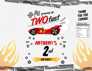 197hpa 30 C race car chips bag design preview