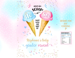 163hpa 30 A Ice Cream chips bag design preview