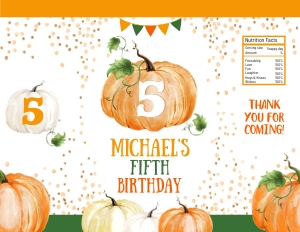 079hpa 21 D chips bag orange pumpkin FIVE: 079hpa 21 D chips bag orange pumpkin FIVE