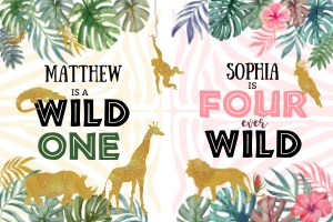 040hpa 80 B backdrop WILD ONE boy FOUR girl 36x24 design preview