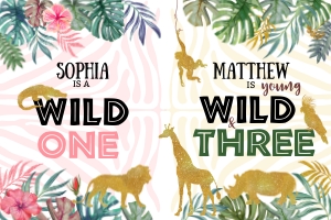 040hpa 80 C backdrop Wild ONE girl THREE boy 36x24 design preview
